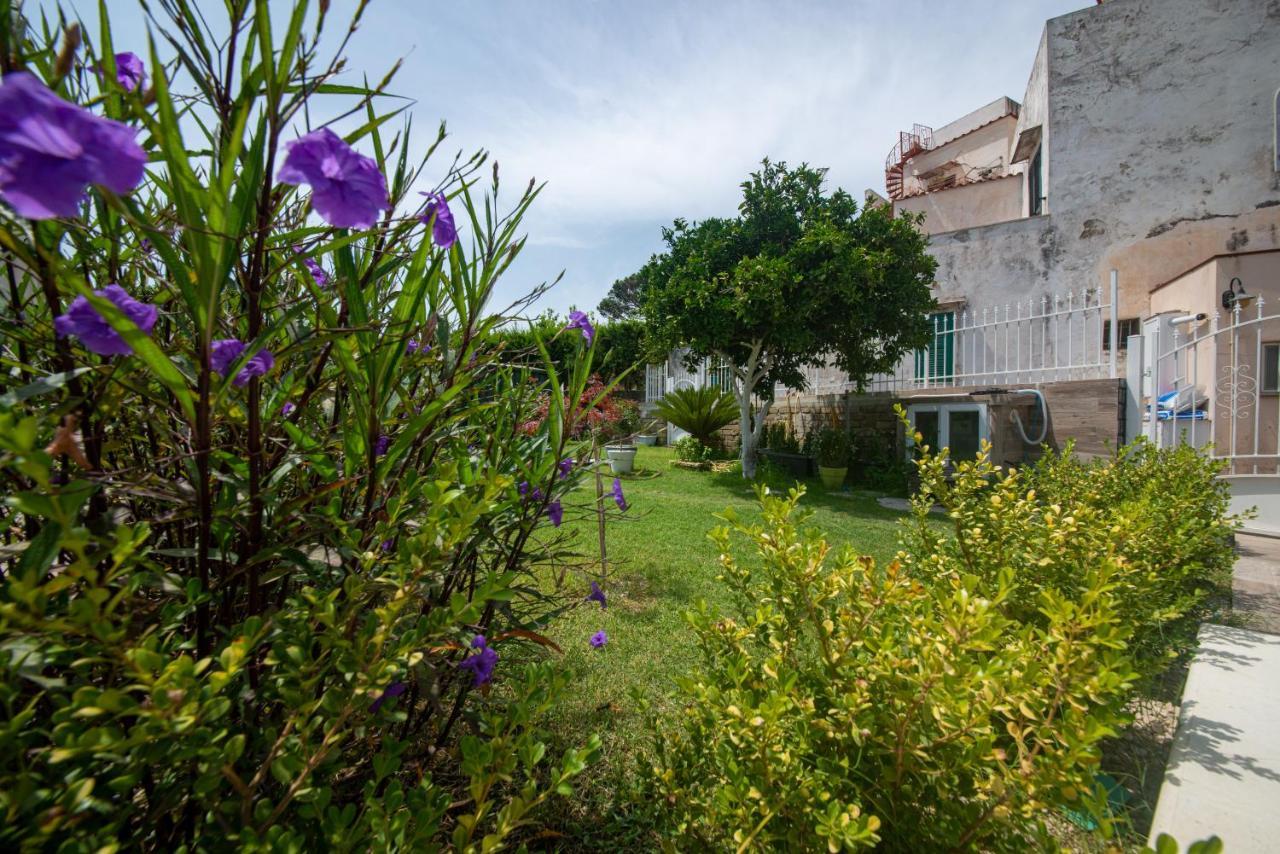 Villa Il Giardino Procida Exterior foto